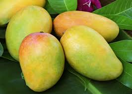 Kesar mango