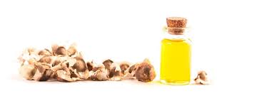 Moringa Seed Oil